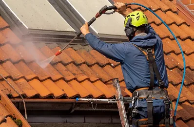 Démoussage et hydrofuge de toiture à Curtafond